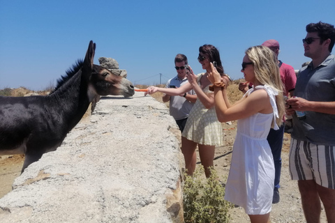 Mykonos: Highlights Tour met het Panagia Tourliani-klooster