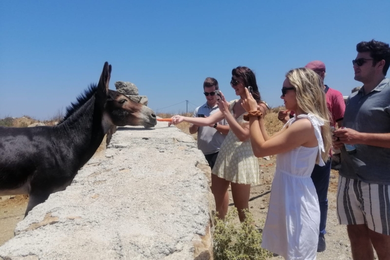 Mykonos: Highlights Tour z klasztorem Panagia Tourliani