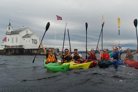 Oslo : excursion de 3 heures en kayak sur l&#039;Oslofjord