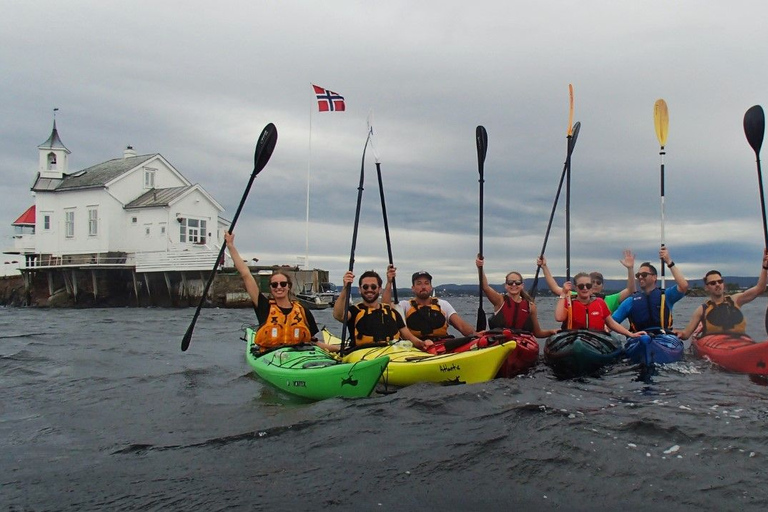 Oslo : excursion de 3 heures en kayak sur l&#039;Oslofjord