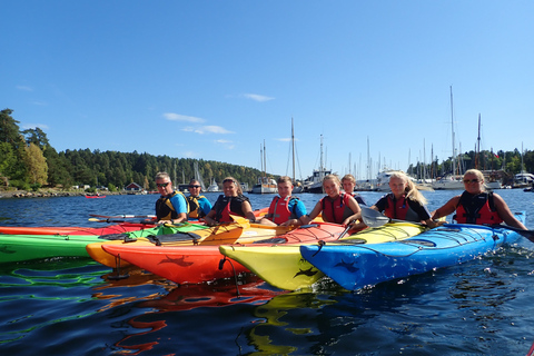 Oslo: Excursión de 3 horas en kayak por el Oslofjord