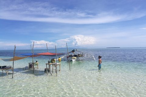 From Bohol: Virgin Island Half-Day Trip