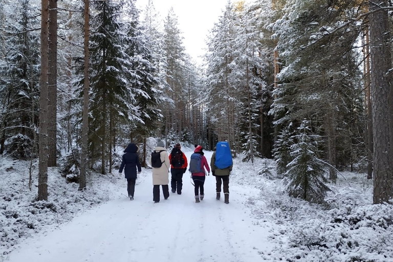 Helsinki: Winter Wonderland Liesjärvi National Park Hike