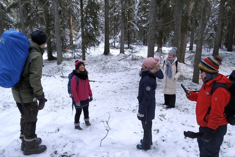 Zimowa wędrówka po krainie czarów w parku narodowym