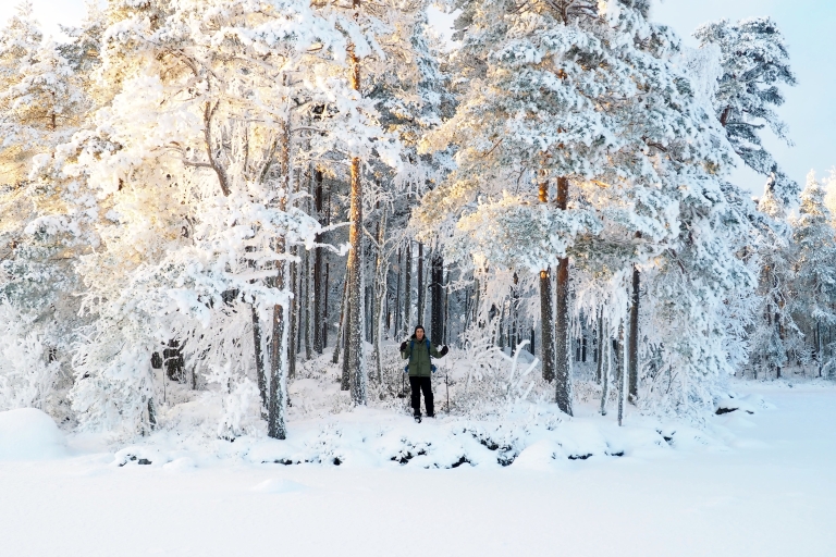 Zimowa wędrówka po krainie czarów w parku narodowym
