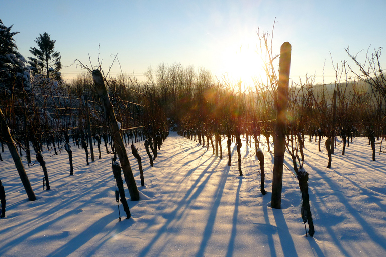 Alsace: Wine Tasting and Gourmet Christmas Lunch