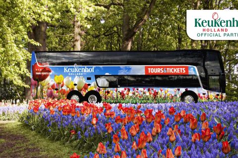 De Amsterdã: Traslado do parque de flores Keukenhof com ingresso