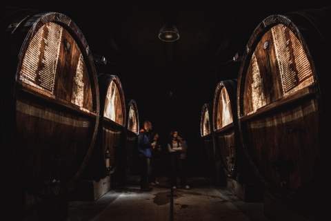 Alsacia: Cata de Vinos Guiada y Visita a Bodega