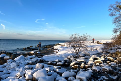 Porkkalanniemi Peninsula, Finland, Turku Archipelago - Book Tickets ...