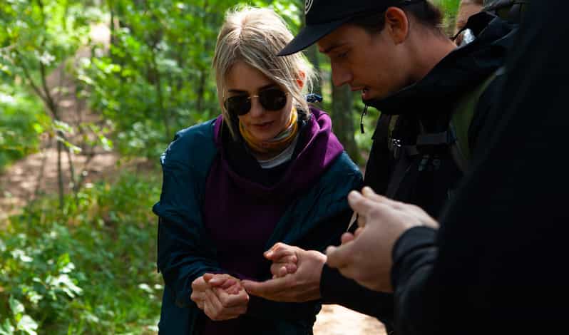 Desde Helsinki Mágica excursión por la Taiga en el Parque Nacional de