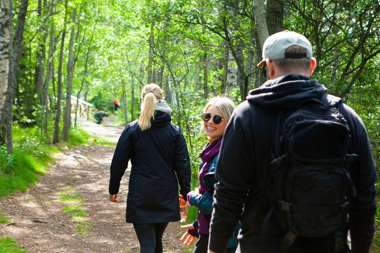 Desde Helsinki: Excursión al Parque Nacional de LiesjärviExcursión al Mágico Bosque de la Taiga
