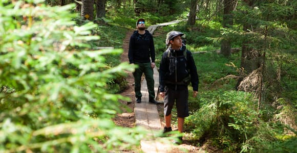 Von Helsinki aus: Magische Taiga-Wanderung im Liesjärvi-Nationalpark