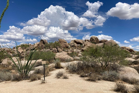 Scottsdale : Visite guidée en VTT dans le désert