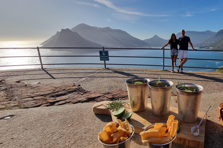 Luxury Cape of Good Hope & Penguin Tour