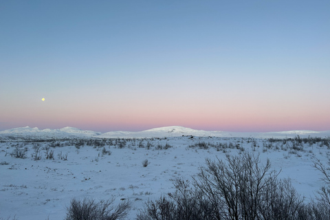 Abisko: Poranna wędrówka z przewodnikiem o wschodzie słońca z gorącą czekoladą