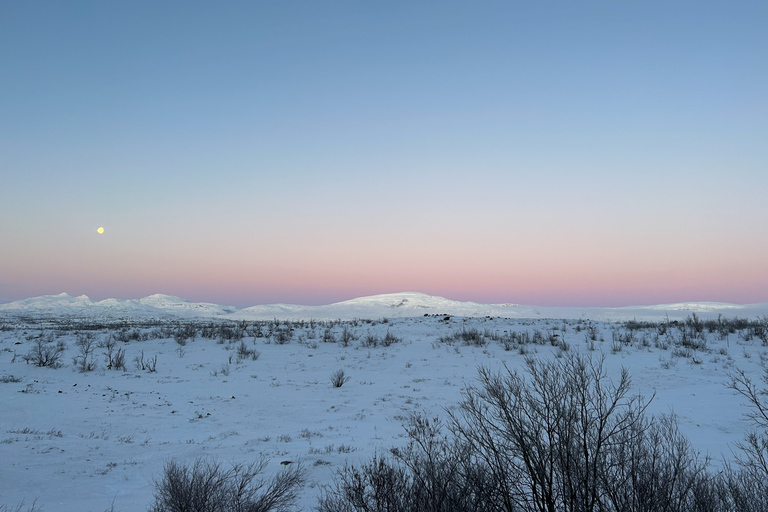 Abisko: Poranna wędrówka z przewodnikiem o wschodzie słońca z gorącą czekoladą