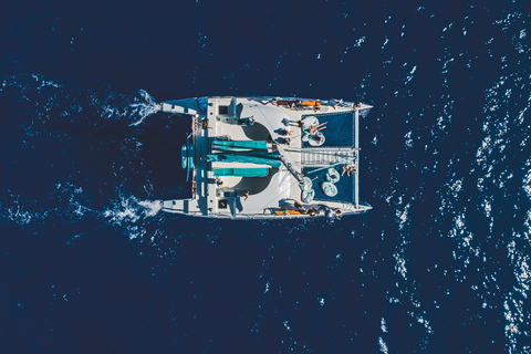 Kaanapali: Whale Watching Cruise with Open Bar