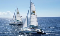 Kaanapali, baleine à regarder une croisière avec barre ouverte - Housity