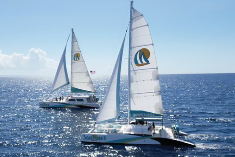 Kaanapali: Whale Watching Cruise with Open Bar