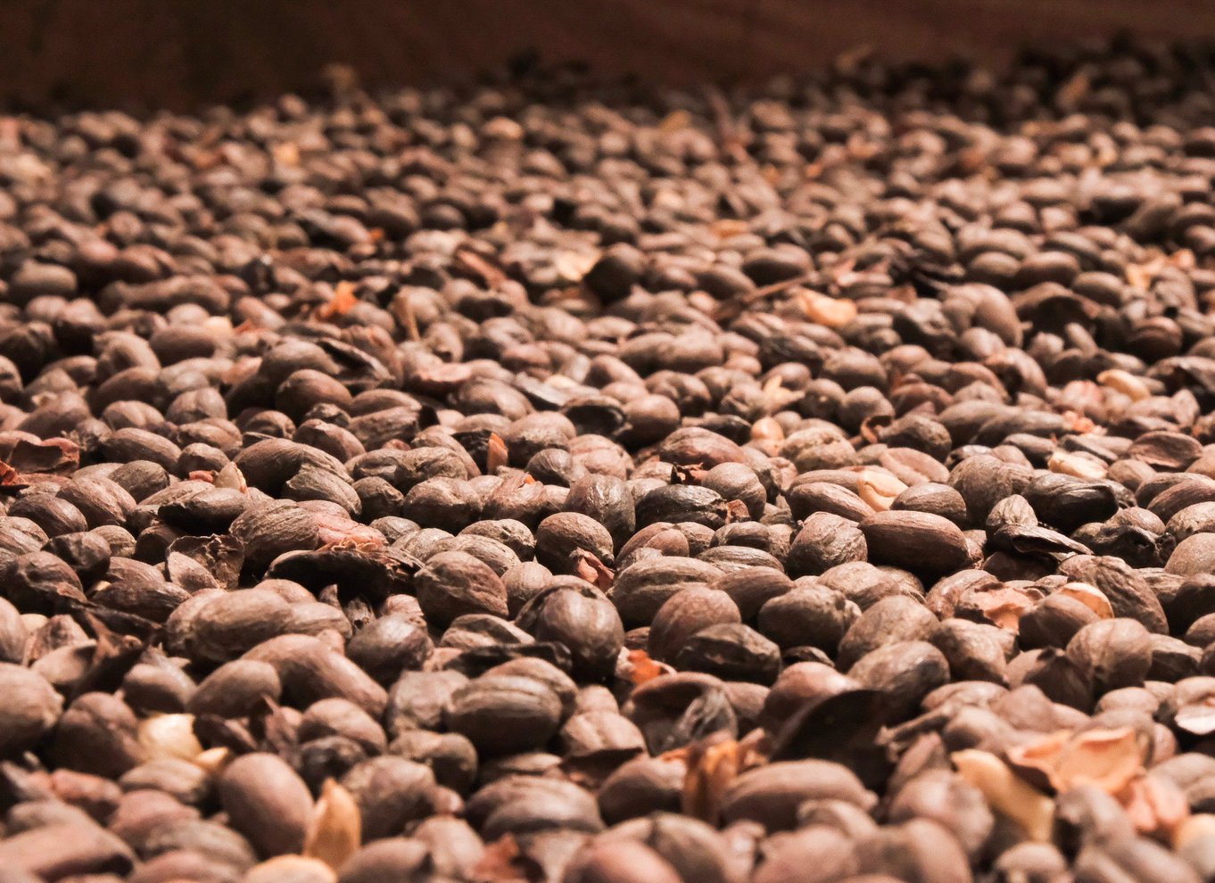 Alajuela: Guidet tur til kaffeplantage med smagning