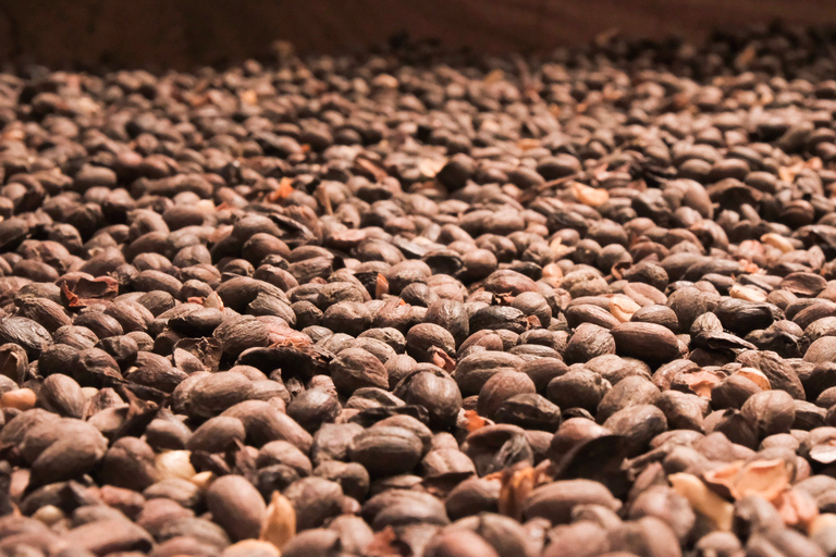 Alajuela: Coffee Plantation Guided Tour with Tasting