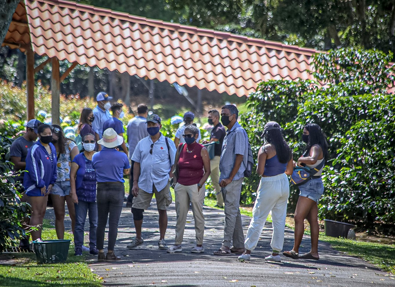 Alajuela: Guidet tur til kaffeplantage med smagning