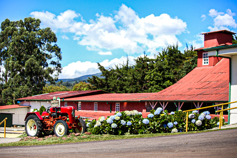 Alajuela: Tour guiado por la plantación de café con degustaciónAlajuela: Visita guiada a una plantación de café con degustación