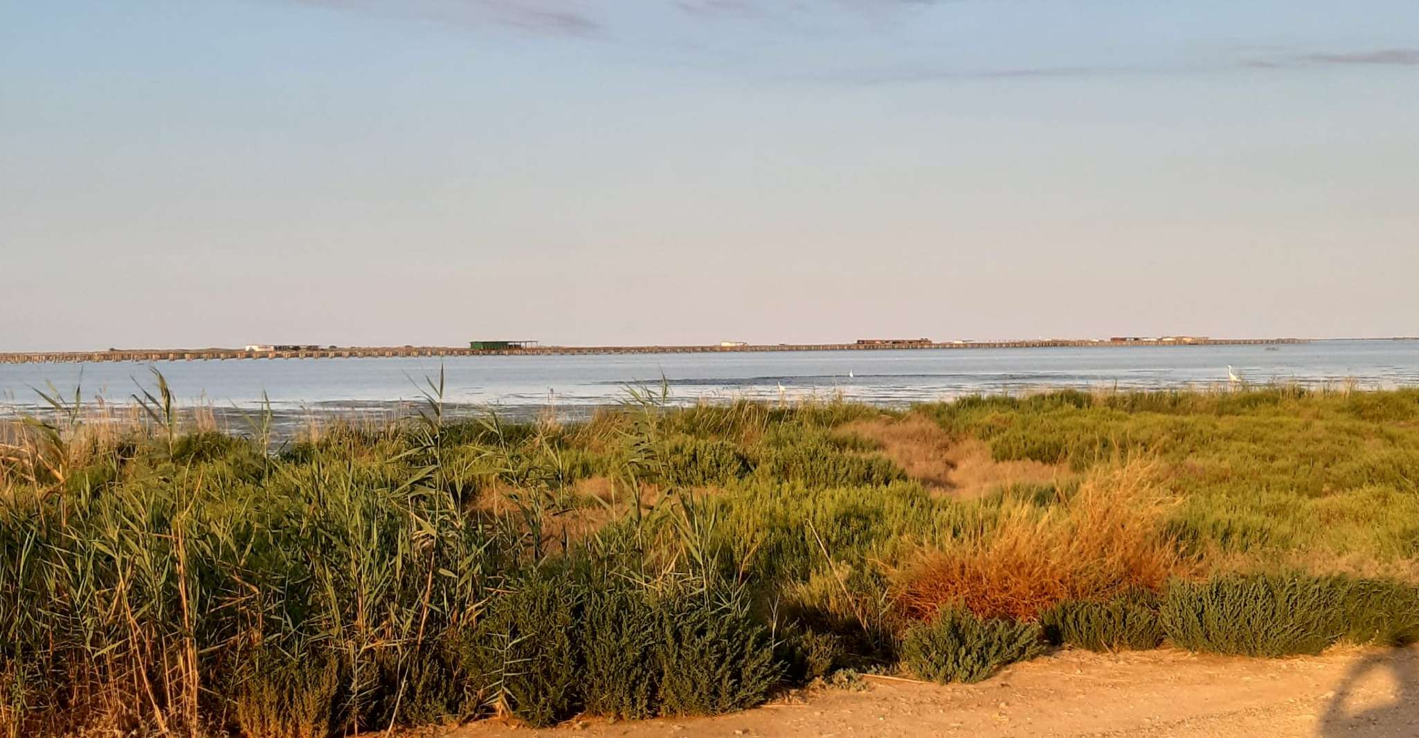 Desde Deltebre, Excursión de un día al Parque Nacional Delta del Ebro - Hizvo