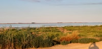 Da Deltebre, Ebro Delta National Park Multi-Stop Day Trip - Hizvo
