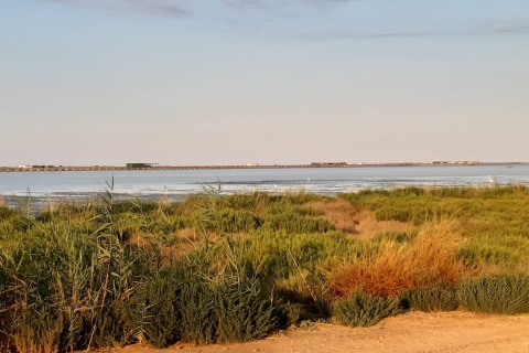 Von Deltebre aus: Tagesausflug zum Nationalpark Ebro-Delta mit mehreren Stopps