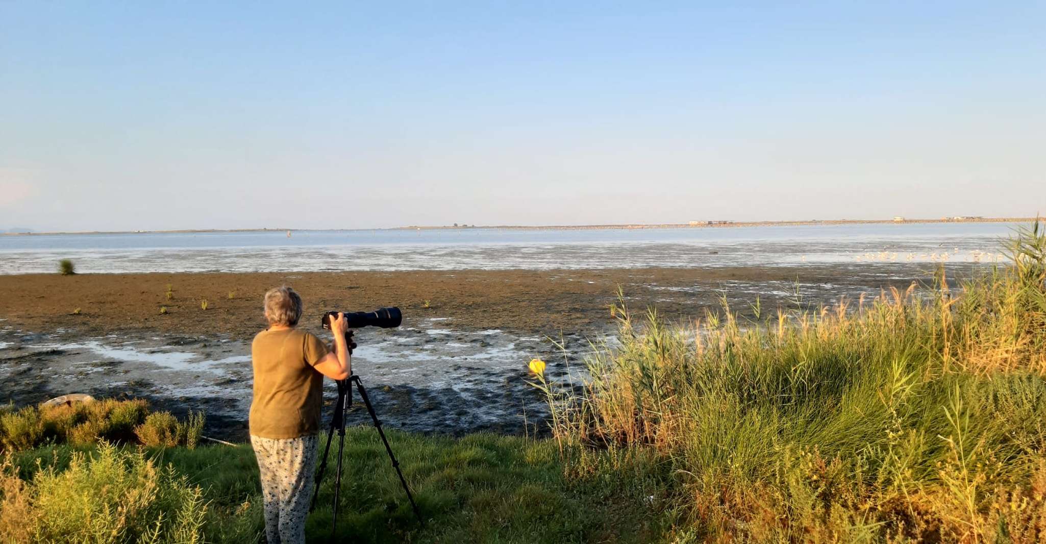 Desde Deltebre, Excursión de un día al Parque Nacional Delta del Ebro - Hizvo