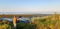 Da Deltebre, Ebro Delta National Park Multi-Stop Day Trip - Hizvo