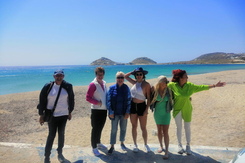 Mykonos: Highlights Tour z klasztorem Panagia Tourliani