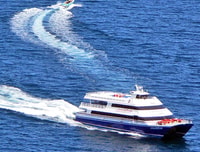 Newport Beach, Ferry Ticket to/from Catalina Island - Housity