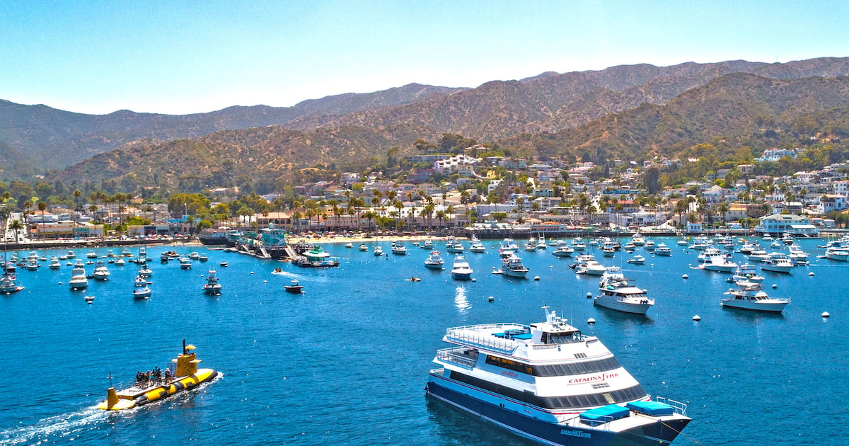 Newport Beach Ferry Ticket Tofrom Catalina Island Getyourguide