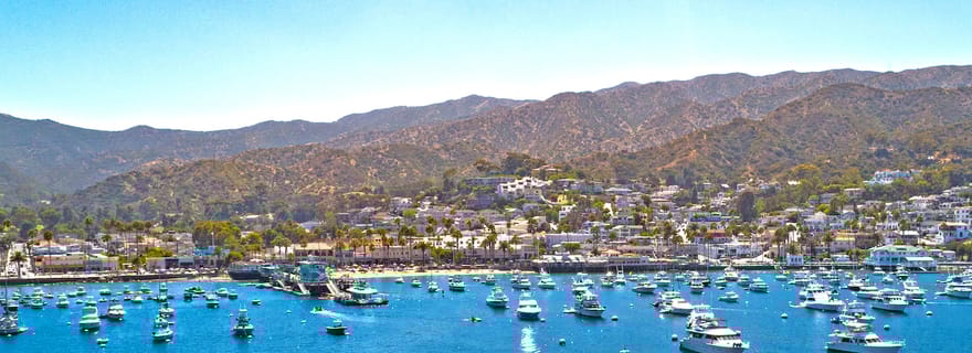 Newport Beach : Billet de ferry de/vers l'île de Catalina