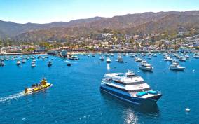 Newport Beach: Ferry Ticket to/from Catalina Island