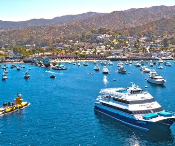 Newport Beach: Billete de Ferry a/desde la Isla Catalina