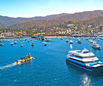 Newport Beach: Ferry Ticket to/from Catalina Island