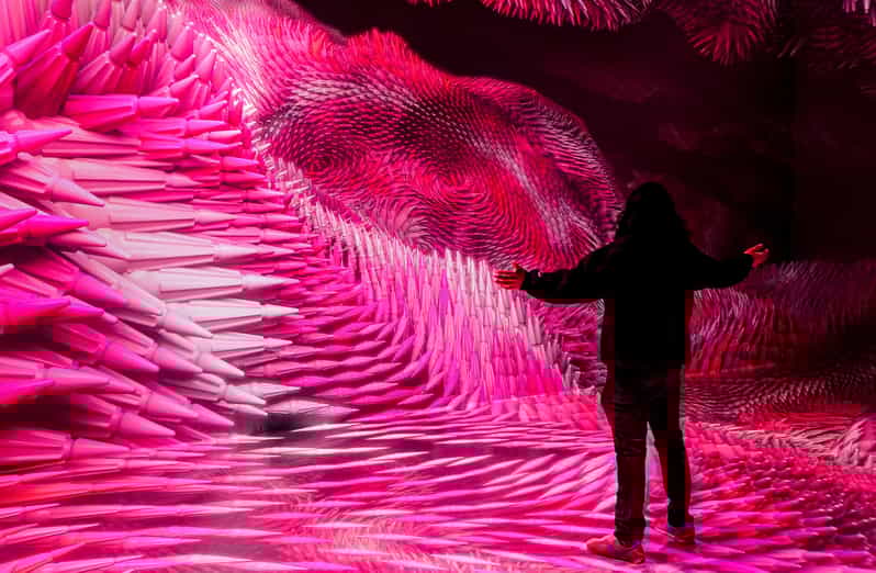 NYC ARTECHOUSE Immersive Art Experience Entrance Ticket GetYourGuide