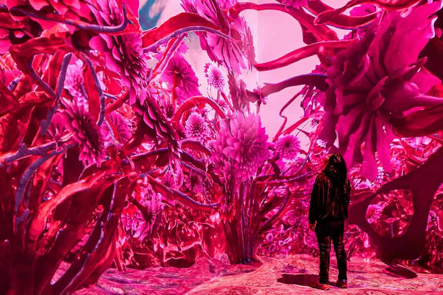 NYC: ARTECHOUSE Immersive Art Experience Eintrittskarte. Foto: GetYourGuide