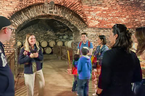 From Santiago: Concha y Toro Half-Day Winery Tasting Tour