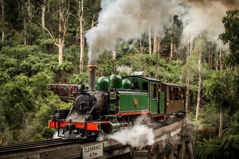 Puffing Billy Railway: Fahrt mit dem historischen Dampfzug