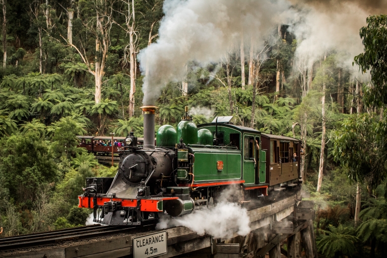 Puffing Billy Railway: Heritage Steam Train Journey Return Ticket: Belgrave - Menzies Creek