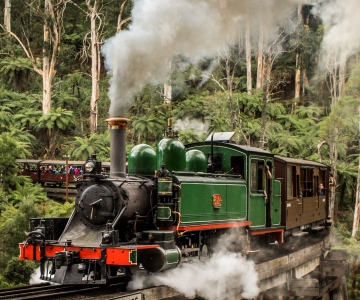 Puffing Billy Railway: Heritage Steam Train Journey