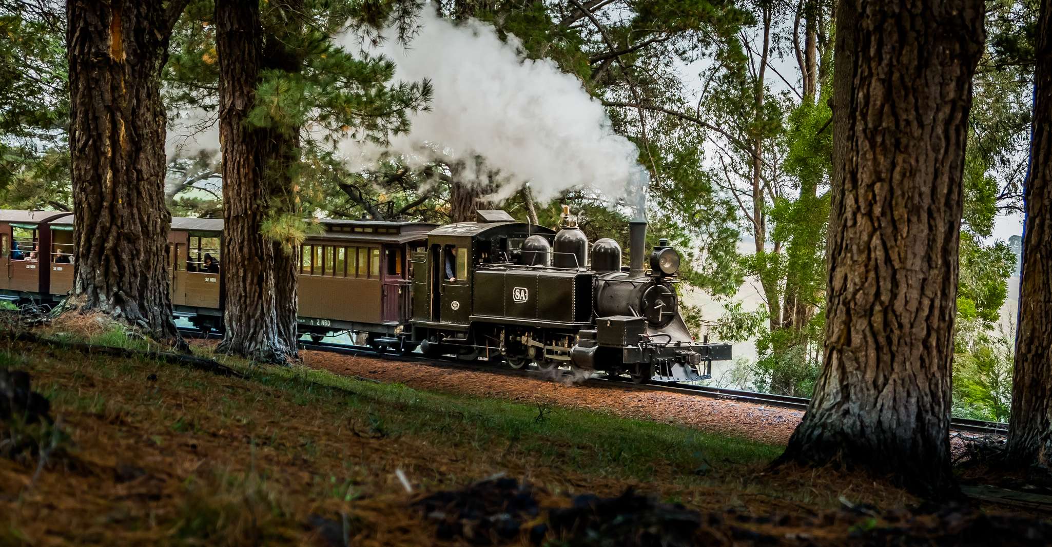 Puffing Billy Railway: Heritage Steam Train Journey photo 2