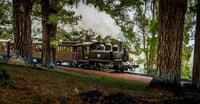 Billy Railway in gonfiore, viaggio a vapore del patrimonio - Housity