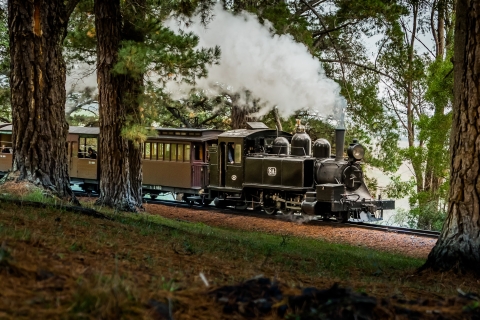 Puffing Billy Railway: Heritage Steam Train Journey Return Ticket: Lakeside - Gembrook