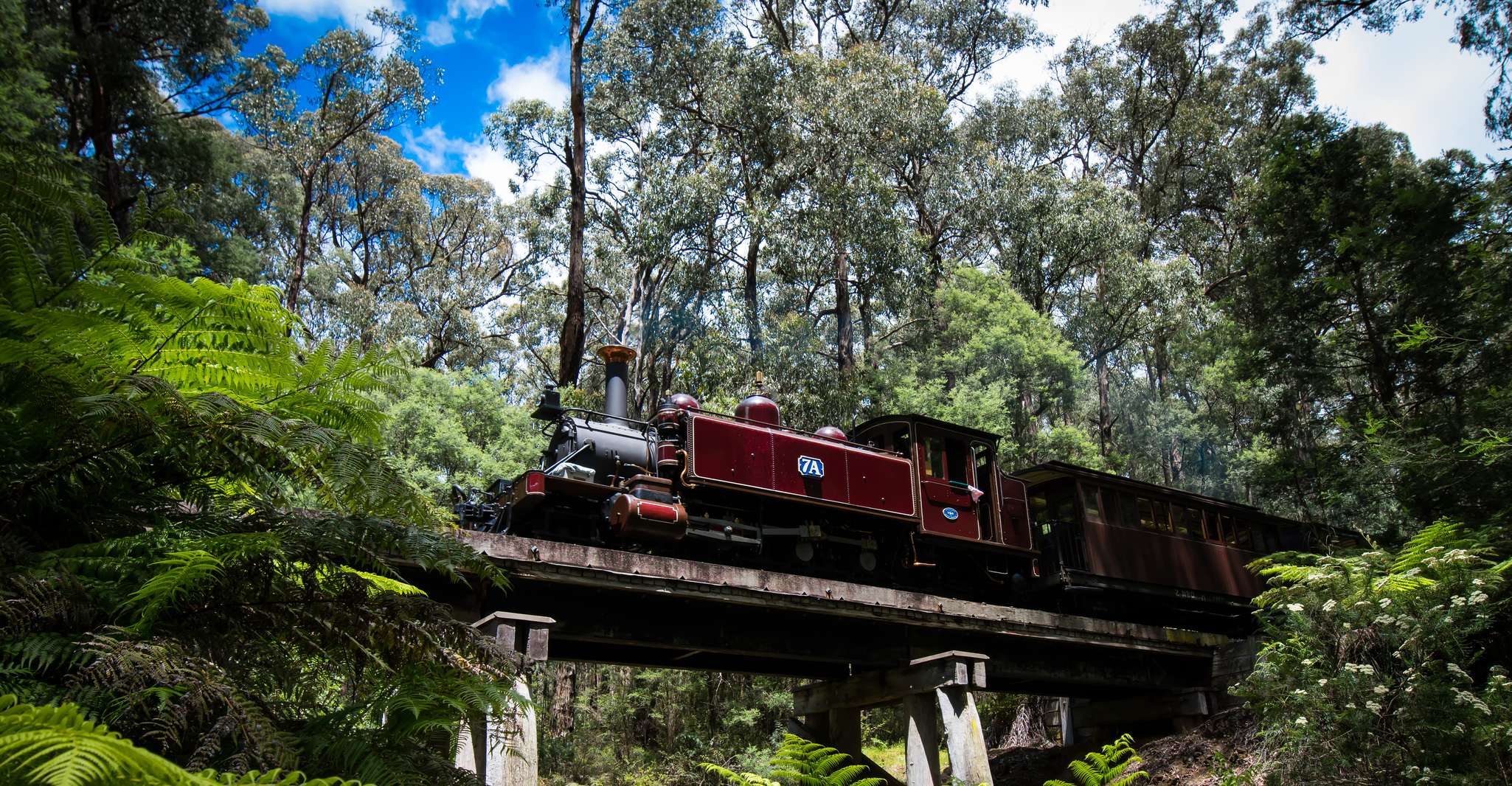 Puffing Billy Railway: Heritage Steam Train Journey photo 8