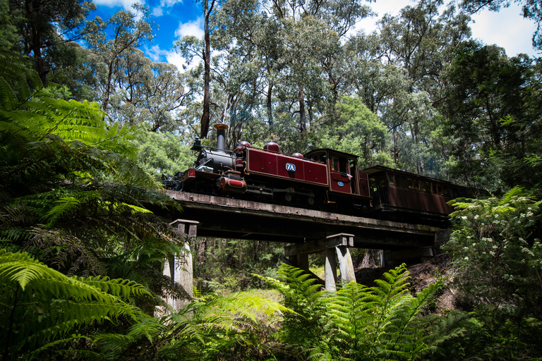 Puffing Billy Railway: Viaje en tren de vapor histórico